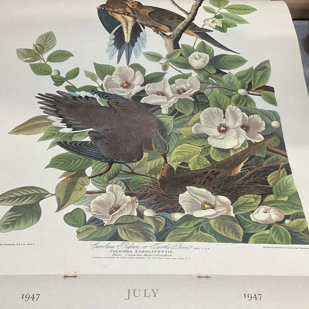 Blue and White Bird Art Calendar1946